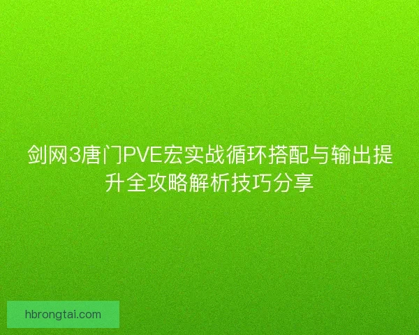 剑网3唐门PVE宏实战循环搭配与输出提升全攻略解析技巧分享