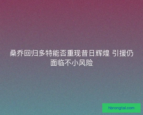 桑乔回归多特能否重现昔日辉煌 引援仍面临不小风险
