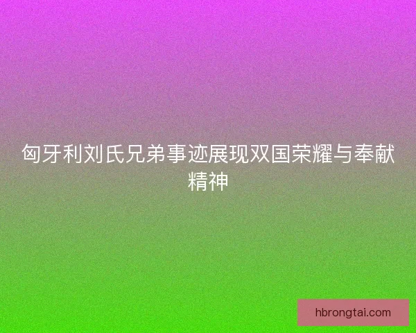 匈牙利刘氏兄弟事迹展现双国荣耀与奉献精神